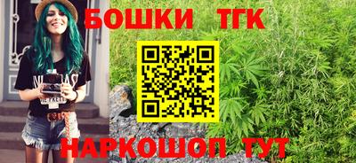 индика Азнакаево