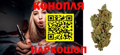 индика Азнакаево